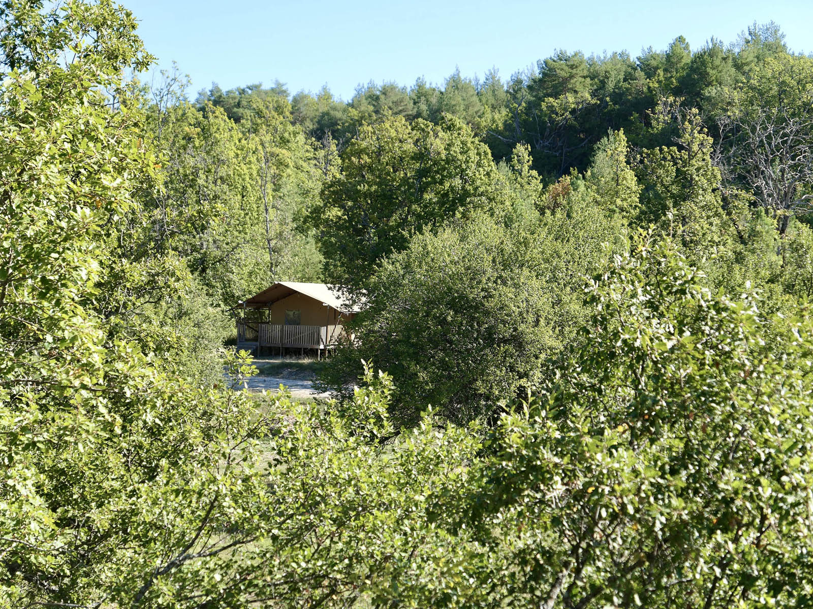Tent3